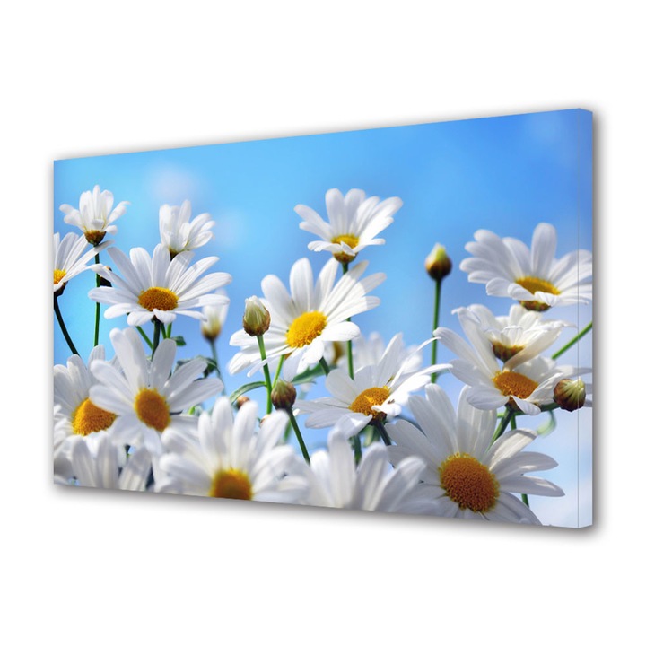 Tablou VarioView MoonLight Fosforescent Luminos in intuneric Flori Flori in camp, 40 x 60 cm
