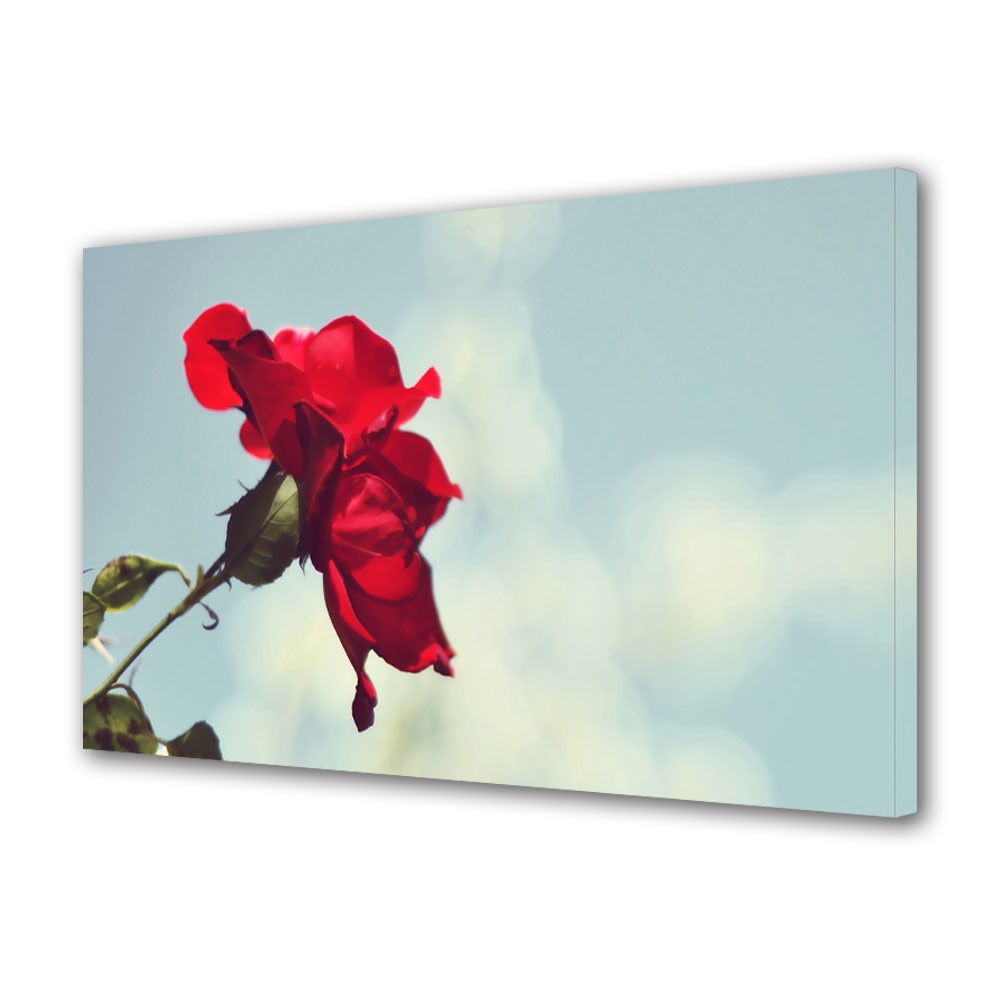 Tablou VarioView MoonLight Fosforescent Luminos in intuneric Flori Trandafir rosu si cer senin, 40 x 60 cm