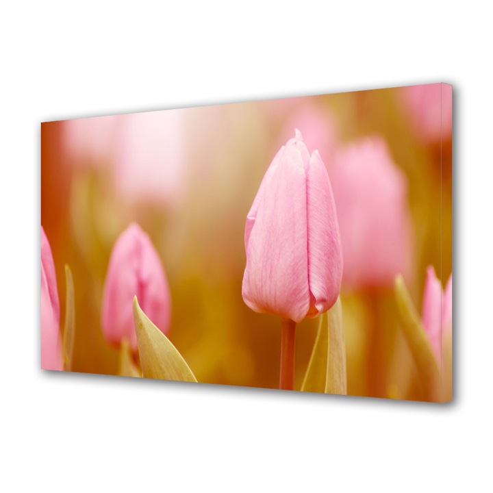 Tablou VarioView MoonLight Fosforescent Luminos in intuneric Flori Mugure de lalea roz, 70 x 100 cm