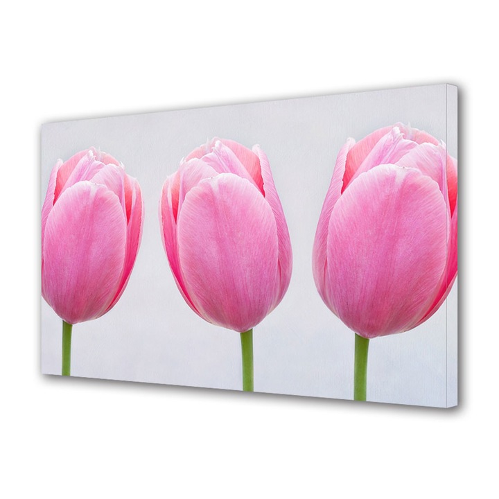 Tablou VarioView MoonLight Fosforescent Luminos in intuneric Flori Trei lalele roz, 60 x 90 cm