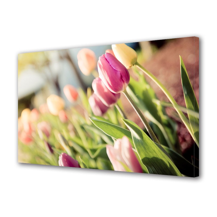 Tablou VarioView MoonLight Fosforescent Luminos in intuneric Flori Lalele la soare, 60 x 90 cm