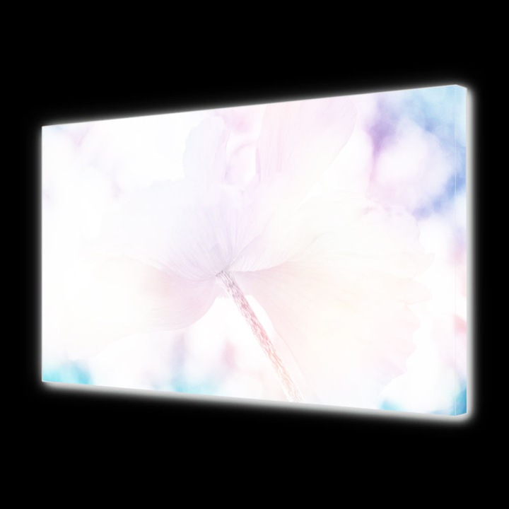 Tablou Canvas Luminos in intuneric VarioView LED Flori Zi de vara 70 x 100 cm