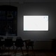 Tablou Canvas Luminos in intuneric VarioView LED Flori Zi de vara 70 x 100 cm