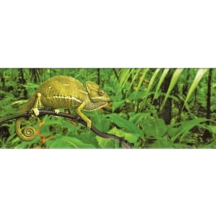 Semn de carte 3D - Cameleon, Plastic
