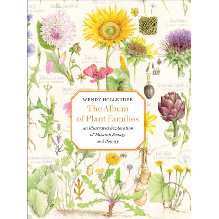 The Album Of Plant Families: An Illustrated Exploration Of Nature's Beauty And Bounty - Wendy Hollender