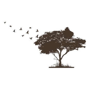 Sticker Decorativ  Sticker Decorativ