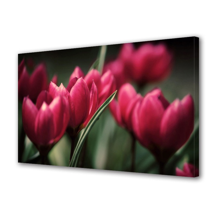 Tablou VarioView MoonLight Fosforescent Luminos in intuneric Flori Lalele inflorite, 60 x 90 cm