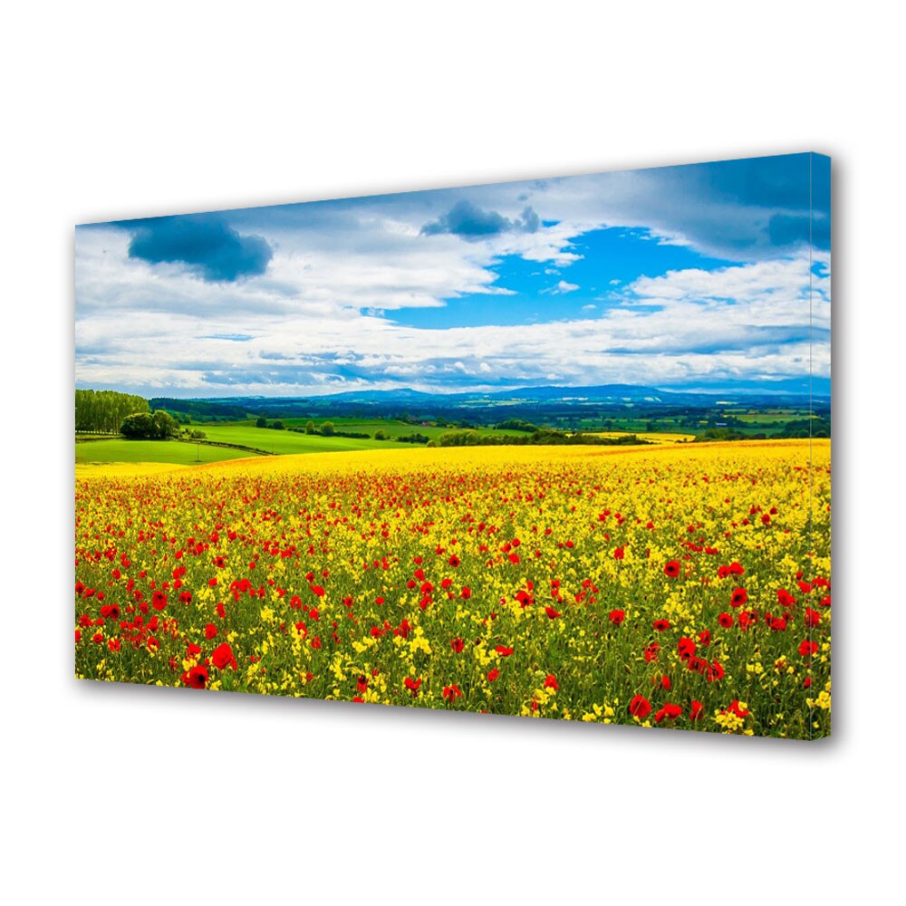 Tablou VarioView MoonLight Fosforescent Luminos in intuneric Flori Camp multicolor, 40 x 60 cm