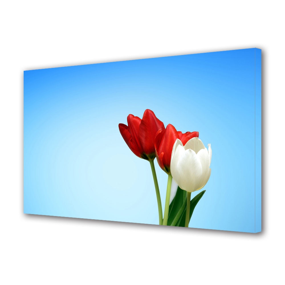 Tablou VarioView MoonLight Fosforescent Luminos in intuneric Flori Lalele speciale, 40 x 60 cm