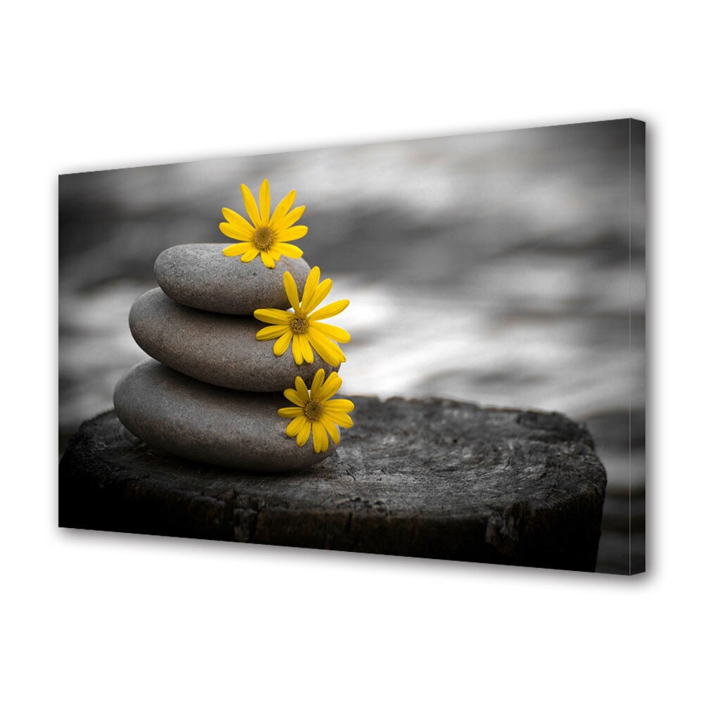 Tablou Canvas Luminos in intuneric VarioView LED Flori Relaxare 30 x 45 cm