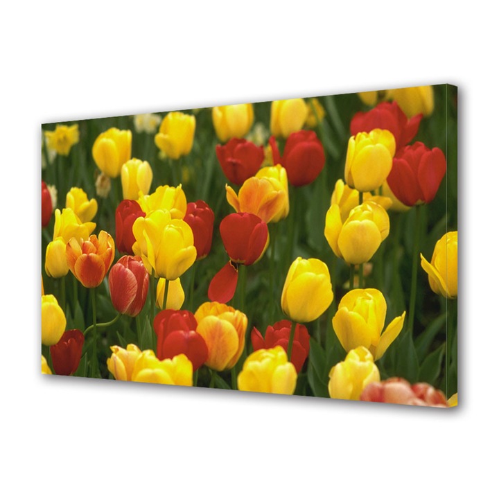 Tablou VarioView MoonLight Fosforescent Luminos in intuneric Flori Lalele Galbene si Rosii, 60 x 90 cm