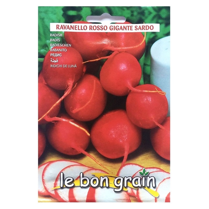 Set 5 x Seminte de Ridichi de Luna, Rosso Gigante Sardo, 13 g, Raci Sementi