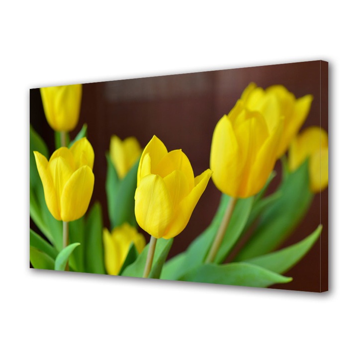 Tablou VarioView MoonLight Fosforescent Luminos in intuneric Flori Lalele galbene, 60 x 90 cm