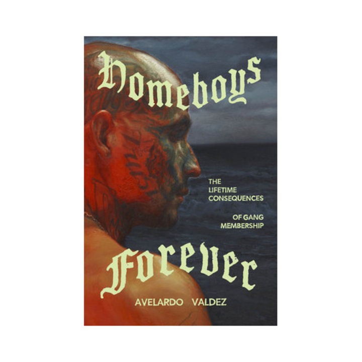 Homeboys Forever: The Lifetime Consequences Of Gang Membership - Avelardo Valdez