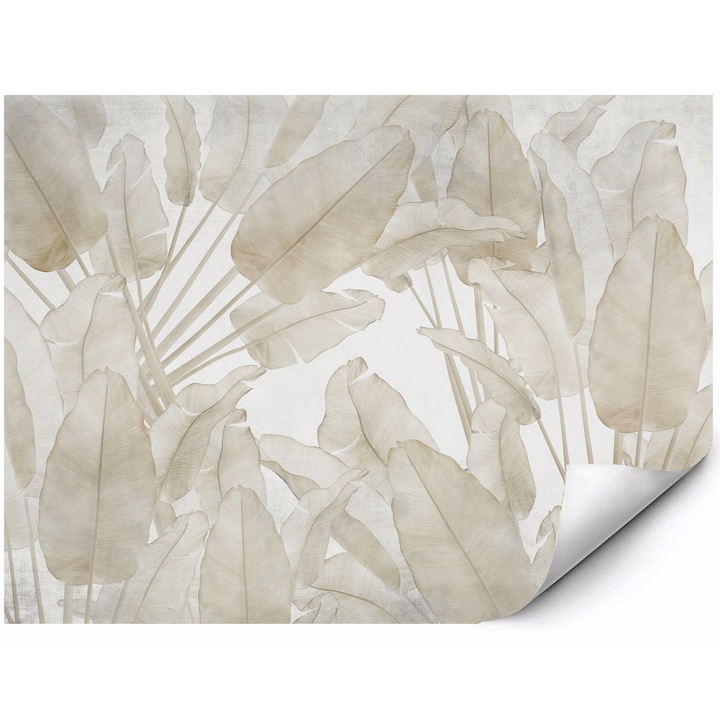 Fototapet mural din material autoadeziv frunze bej de bananier si strelitzia motiv botanic tropical delicat in stil boho elegant 350x250 cm
