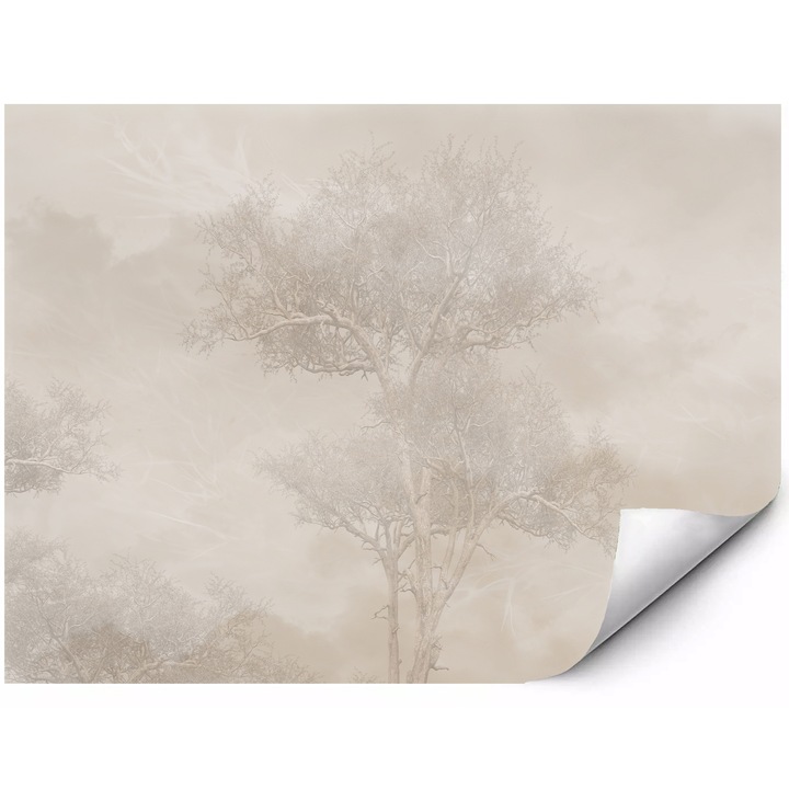 Fototapet mural din material autoadeziv copaci maiestuosi in ceata peisaj forestier delicat in tonuri bej motiv natural scandinav elegant 350x250 cm