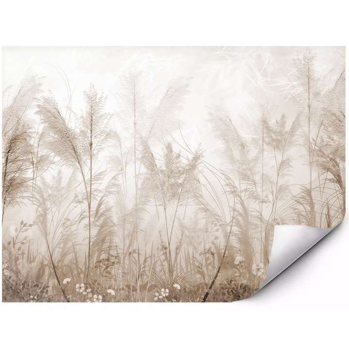 Fototapet mural din material autoadeziv iarba de pampas delicata in ceata peisaj botanic in tonuri bej stil boho elegant 350x250 cm