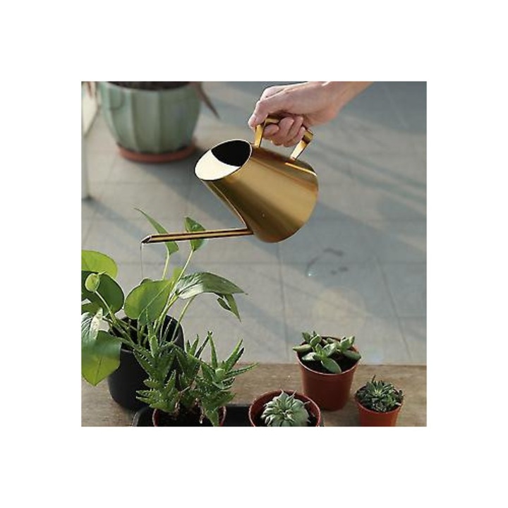 Stropitoare din otel inoxidabil 900ml cu cioc lung, argintiu, 12.8x17.2cm