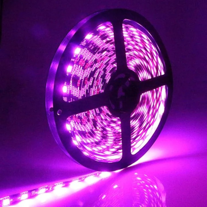 LED Szalag 12V, Lila Fény, 120 LED/m, IP20, 5 Méteres Tekercs, ClassLights