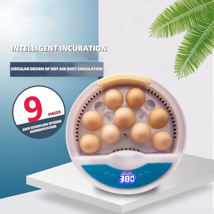 Inkubátor tojás automata 9 tojás digitális hőmérséklet- és páratartalom-szabályozás 24.3x8.5cm