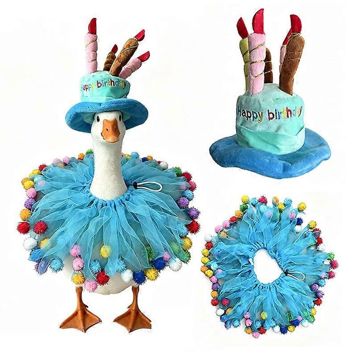 Costum rata de gradina aniversare, palarie albastra si guler tutu, 23 inch, multicolor