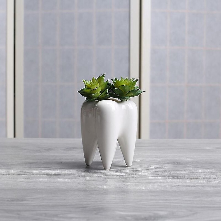 Set 2 ghivece ceramice albe, forma dinte, 6.8x9.9cm, pentru suculente