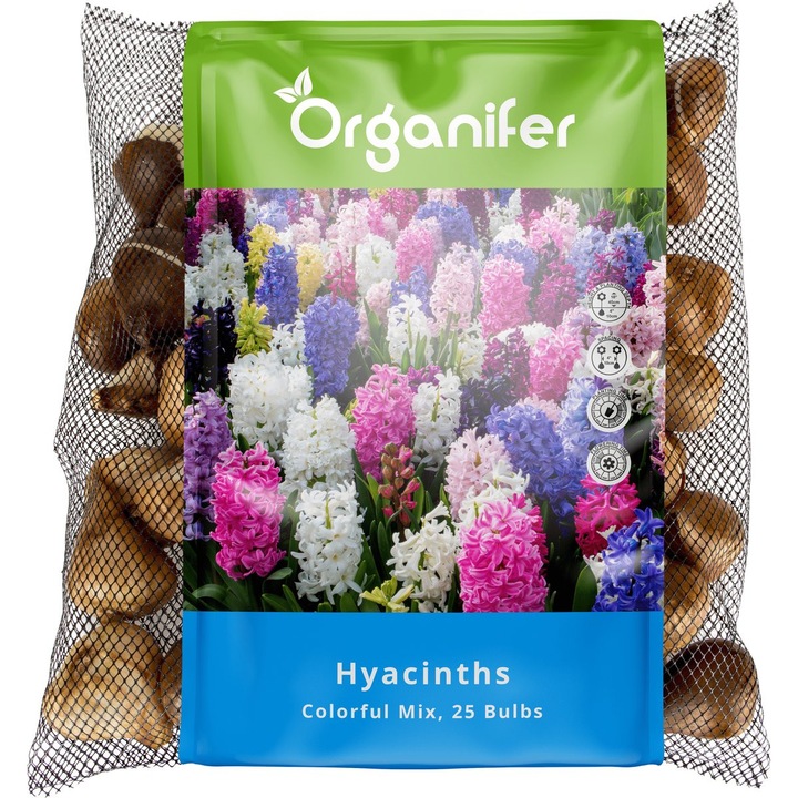 Organifer Bulbi Zambile Mix Culori XXL 16-17 cm 25 Buc