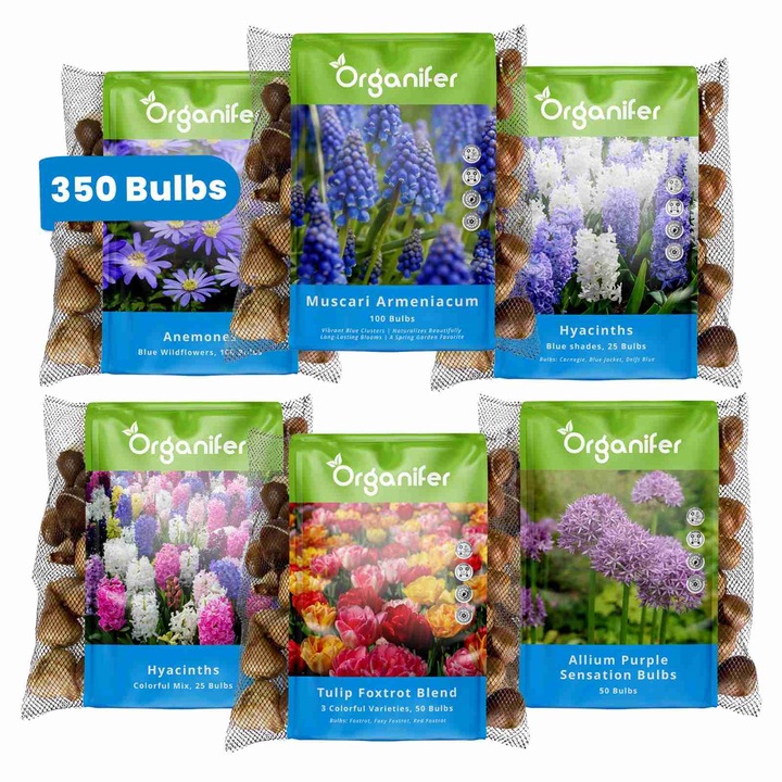 Set 350 Bulbi de flori Organifer, XXL, mix multicolor primavara