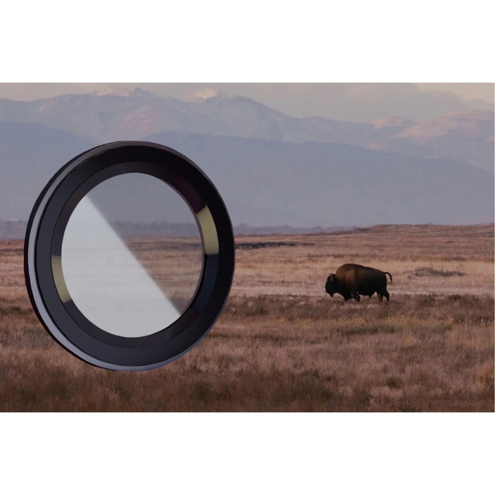 Folie sticla camera foto Bizon Glass Snap Lens compatibila cu Honor 600 Pro, Negru
