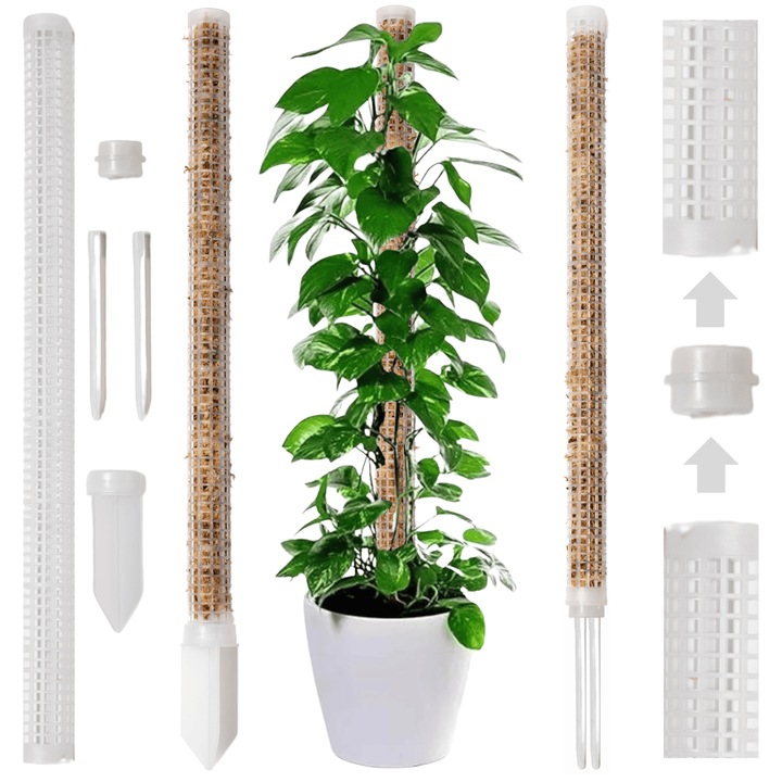 Suport plante 50x3cm pentru muschi Sphagnum, plastic, set