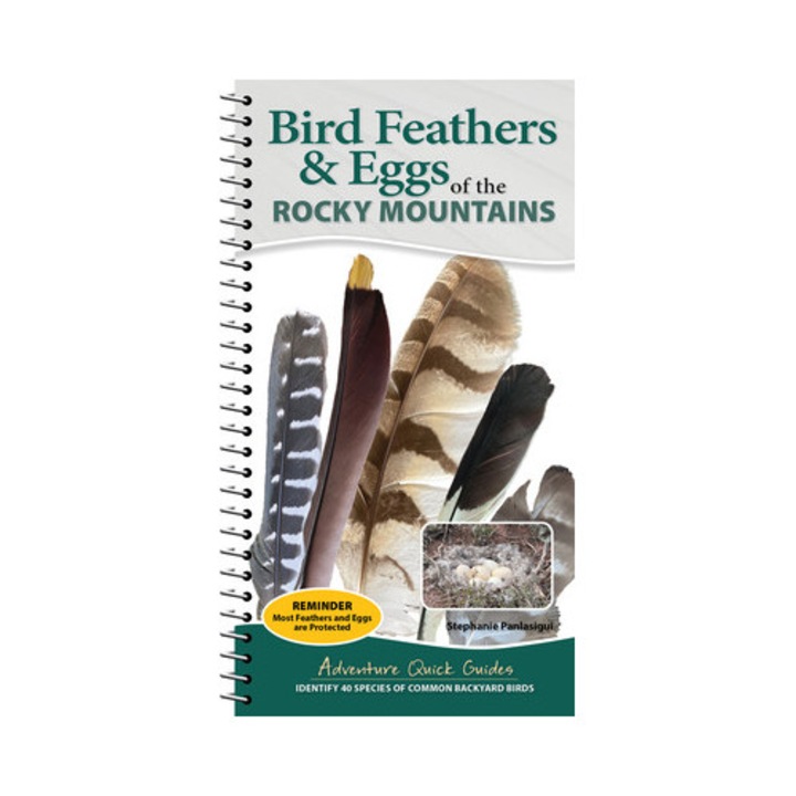 Bird Feathers & Eggs Of The Rocky Mountains: Identify 40 Species Of Common Backyard Birds - Stephanie Panlasigui