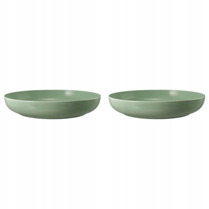 Set 2 bucati, Bol Seltmann Weiden Beat Color Glaze, din portelan premium, compatibil cu cuptor si microunde, eucalipt, 2 x 28 cm