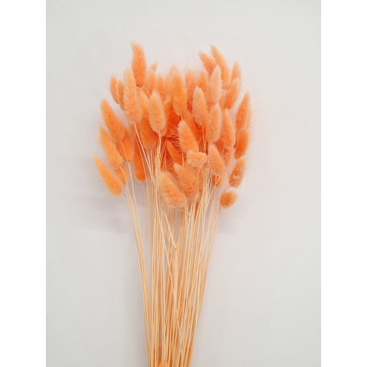 Buchet Lagurus Peach/Somon Premium