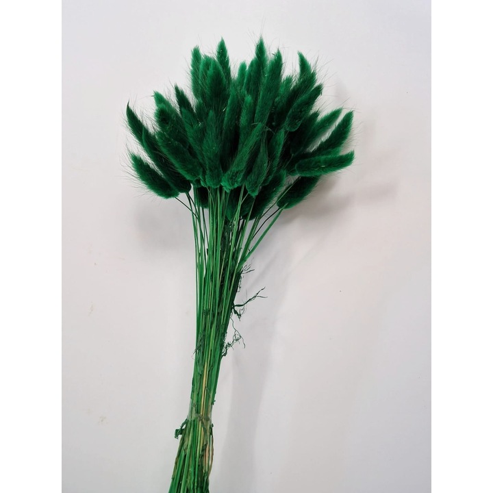 Buchet Lagurus Verde Brocoli