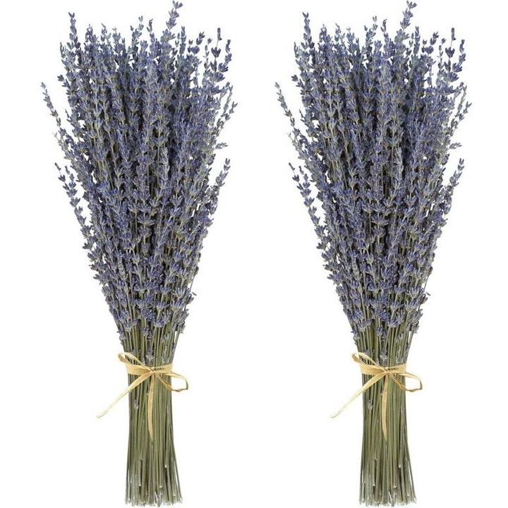 Set 2 buchete de lavanda uscata, manunchiuri decorative, peste 200 tije, lungime 38-43 cm, Mov, pentru decor interior si cadouri