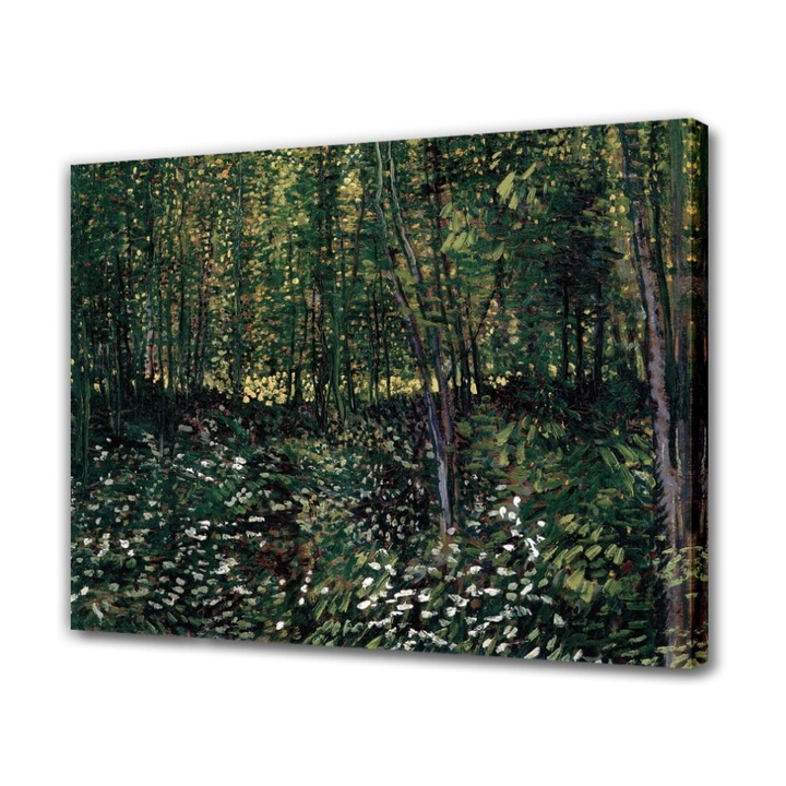 Tablou panza OEM padure copaci subarboret 40x60cm