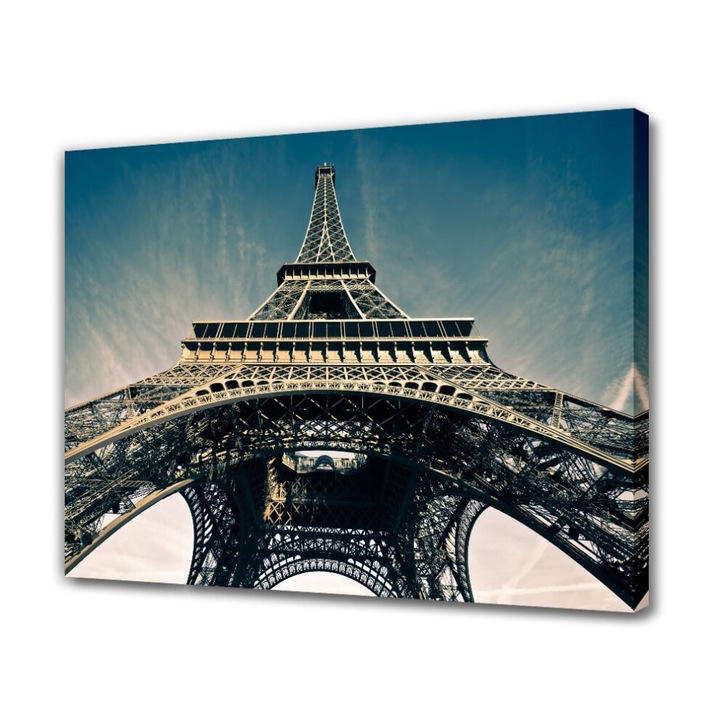 Tablou panza Turnul Eiffel 40x60cm multicolor