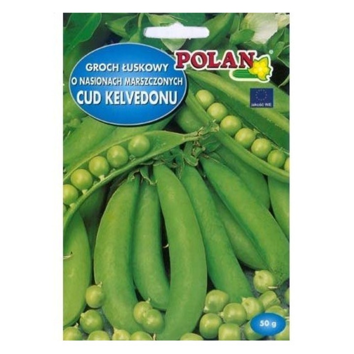 PLATINET borsómag, Cud Kelvedonu, korai fajta, feldolgozásra alkalmas, sárga mozaikvírusnak ellenálló, zöld, 40 g