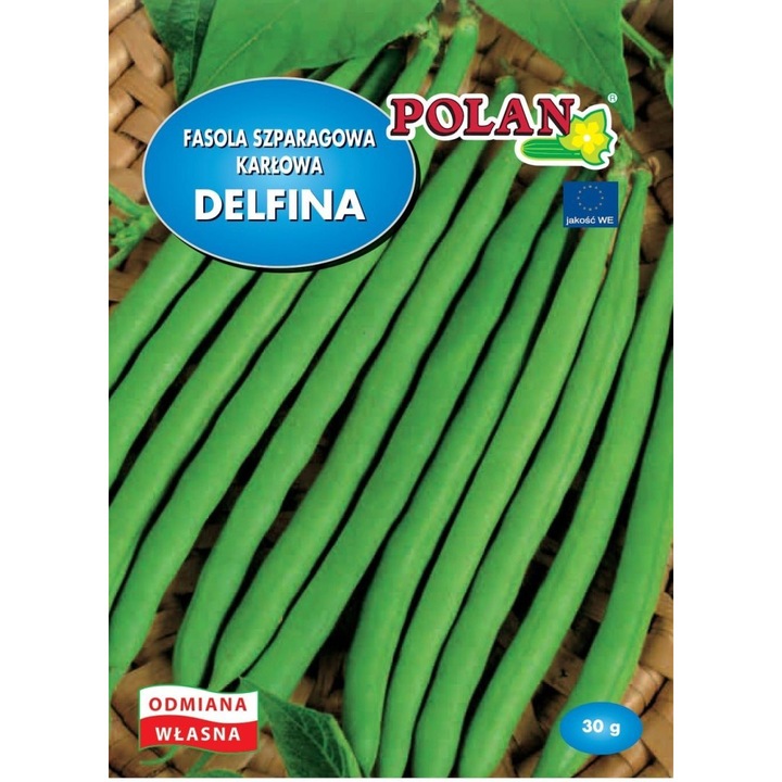 PLATINET Delfina bab vetőmag, korai fajta, produktív, 12-13 cm-es hüvelyek rost nélkül, zöld, 30 g