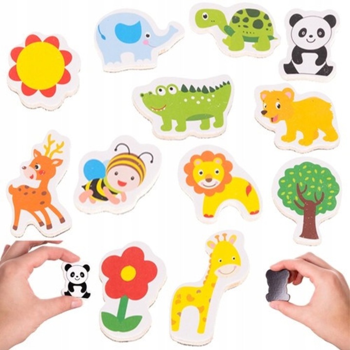 Set 12 magneti animale natura multicolor 5x6cm MEGADIDI