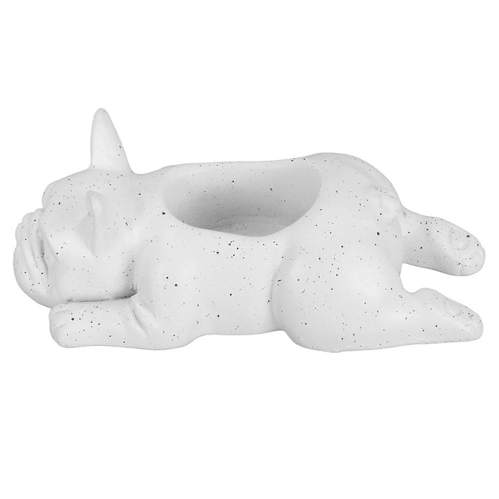 Ghiveci mini caine, rasina, pentru suculente, aeriene, 10x10x12cm