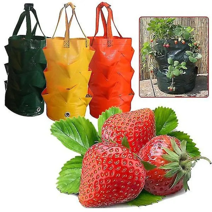 Sac de cultivare plante, 3 gal, multicolor, 10 deschideri, pliabil, cu manere