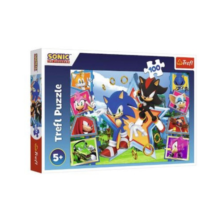 Puzzle Sonic (100 de piese)