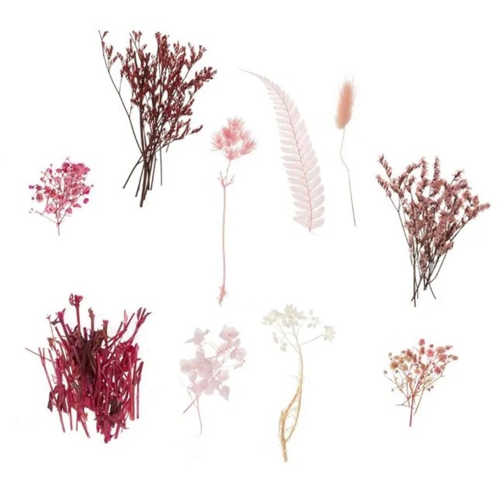Flori Uscate Roz Fucsia pentru Creatii 20g