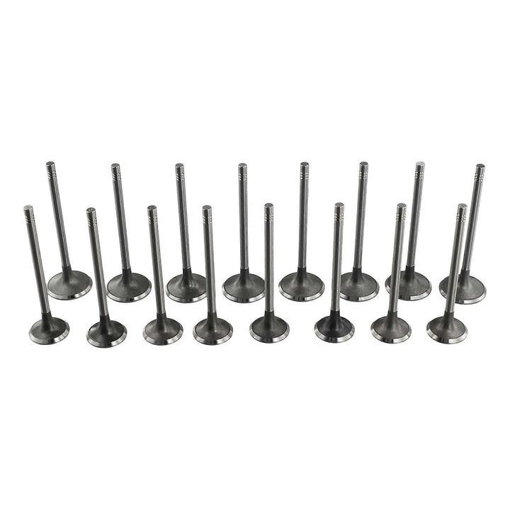 Set 16 bucati, supape admisie si evacuare pentru A3/A4/A5/A6/Golf B7/CC/Q5/A8, coduri 06D 109 601 M / 06D 109 611 H, din metal, montare usoara, argintiu, 8 admisie + 8 evacuare