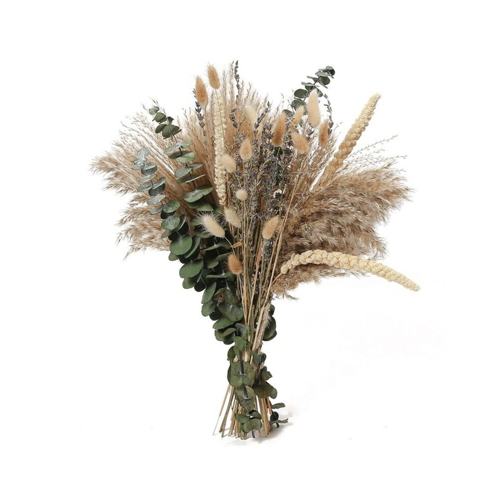 Flori uscate pampas 60 buc multicolor decor birou nunta