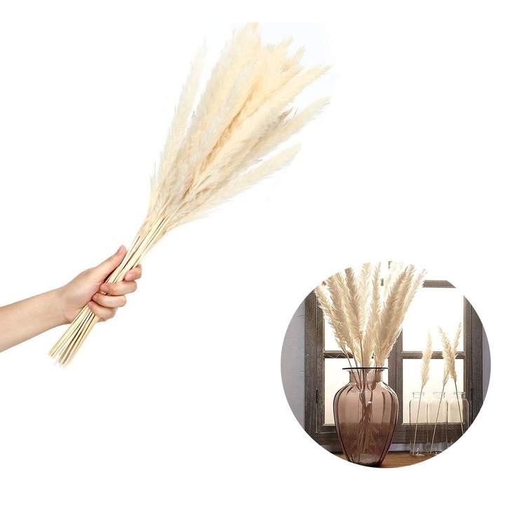 Buchet flori uscate HERUSI pampas 60cm alb set 15 buc