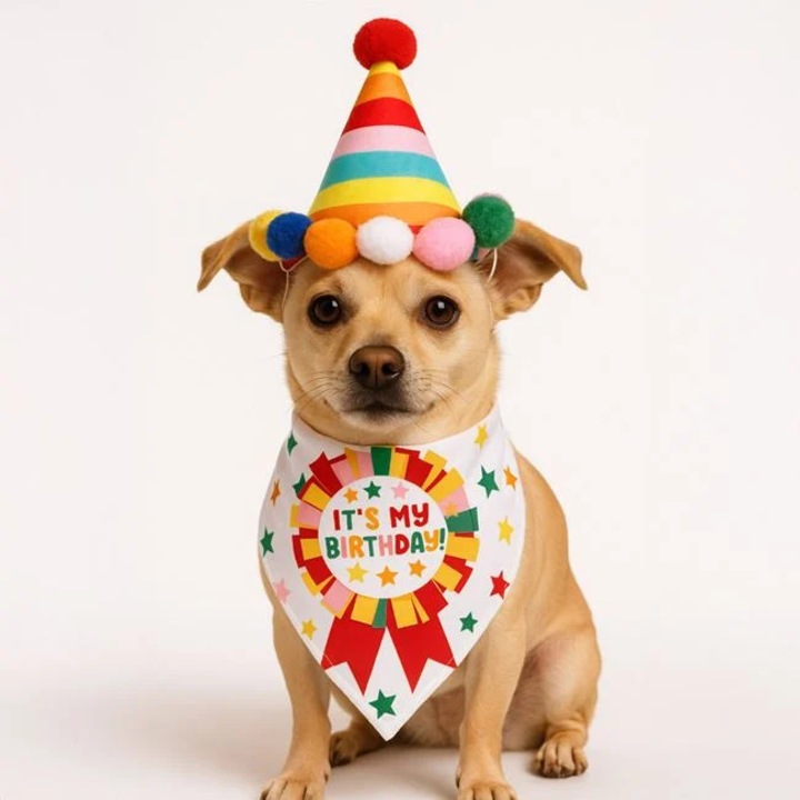 Комплект за рожден ден за куче с бандана и конус "Happy Birthday" със звуков ефект