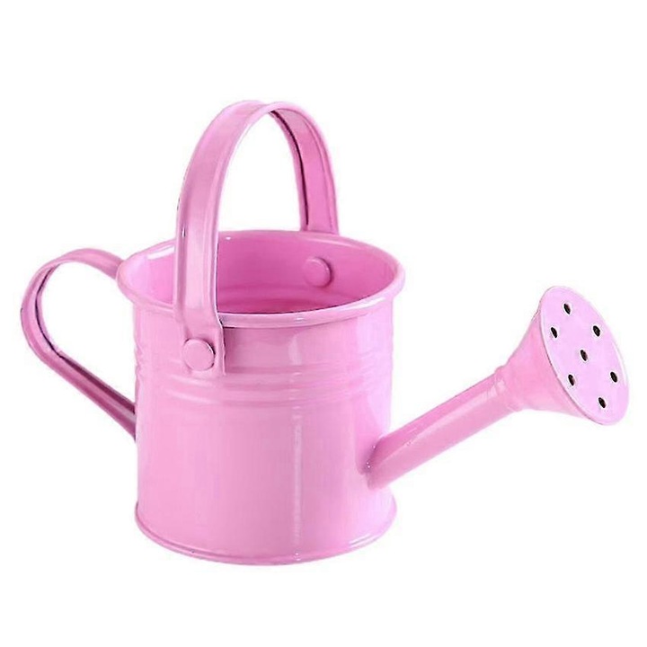 Stropitoare metalica portabila 1L, multicolor, cu cioc lung