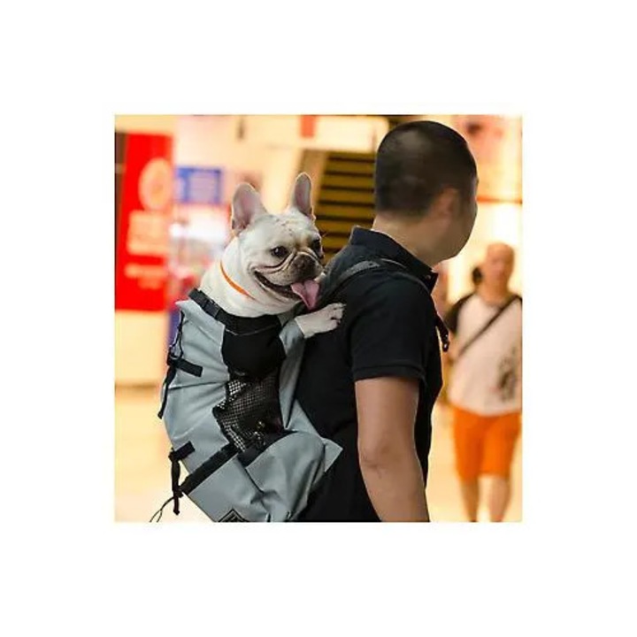 Rucsac transport caini, rucsac purtator din poliester, ajustabil si respirabil, pentru drumetii si ciclism, Gri, XL